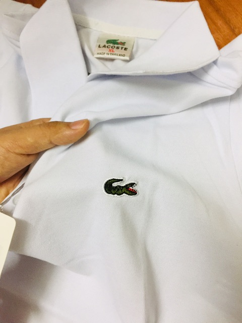 Áo thun Polo Nam Trung Niên Hàng Quảng Châu sợi bông Cao Cấp có túi tặng Bố mẫu mới 2023