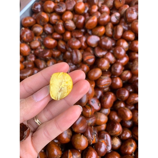 Hạt Dẻ Tươi Tây Bắc/1kg