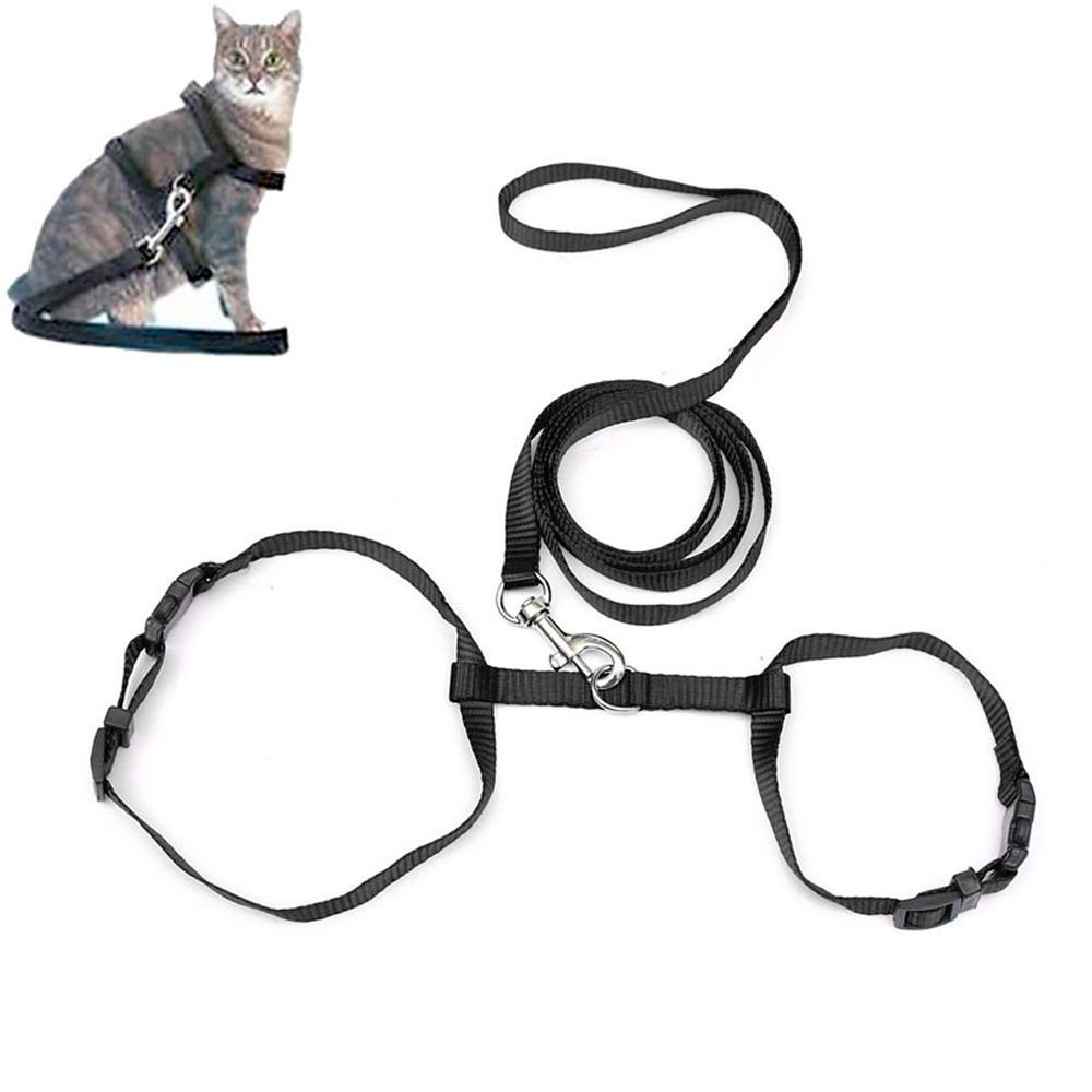 Đai lưng kèm dây dắt mèo cưng tiện dụng