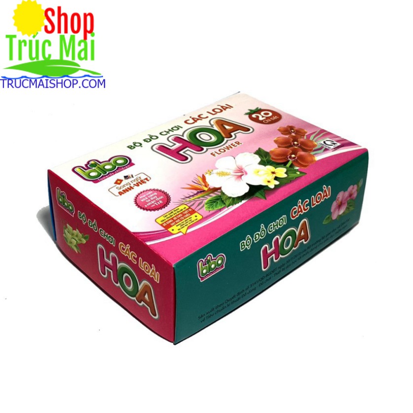 Thẻ Học Flashcards Song Ngữ Anh Việt Loại Có Đế Đứng Bibo