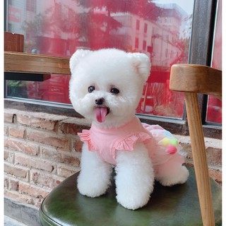 Đầm Công Chúa Vải Cotton Nhiều Màu Cho Thú Cưng