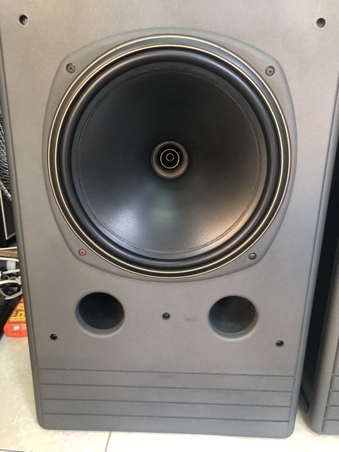Loa TANNOY SYSTEM 12