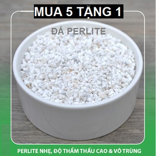 Đá Perlite/ Đá Trân Châu - Cực Phẩm Cho Sen Đá, Xương Rồng Không Thể Thiếu