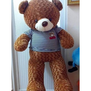 Gấu bông Tedy 1,2 m vải may