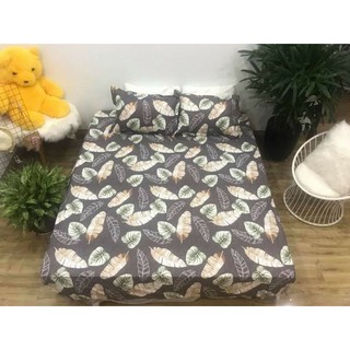 1 GA 2 VỎ GỐI COTTON POLY