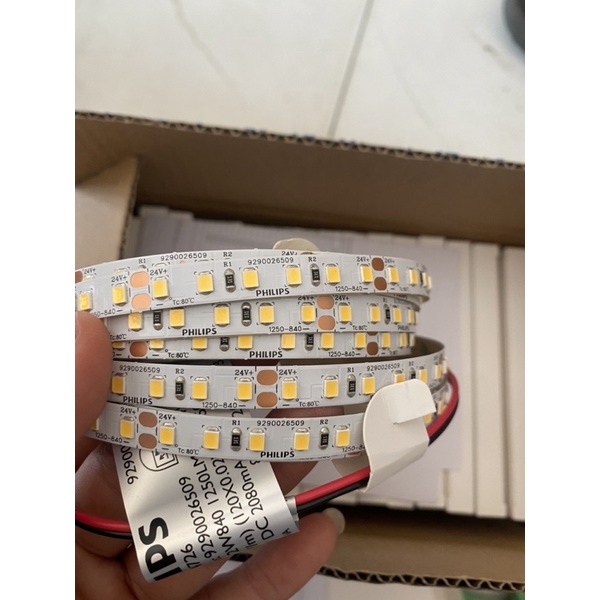 Dây led philips ls155 G3 -12w-840-1250LM -5M -24v