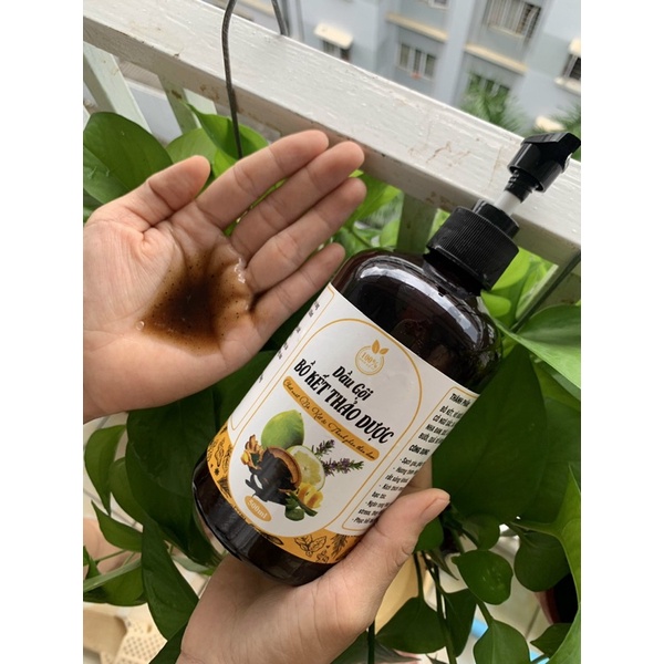 Dầu gội bồ kết cô đặc, Dầu gội thảo dược Handmade,Sạch gàu giảm rụng tóc Chai 500ml - Goss VIệt | BigBuy360 - bigbuy360.vn