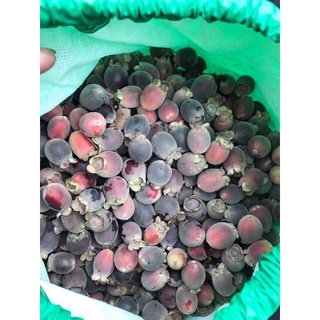 Sim rừng khô - CAO CẤP (gói 1kg)