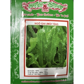Hạt giống ngò gai (mùi tàu)