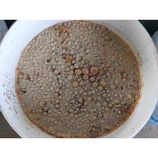 V.EM gốc dạng bột