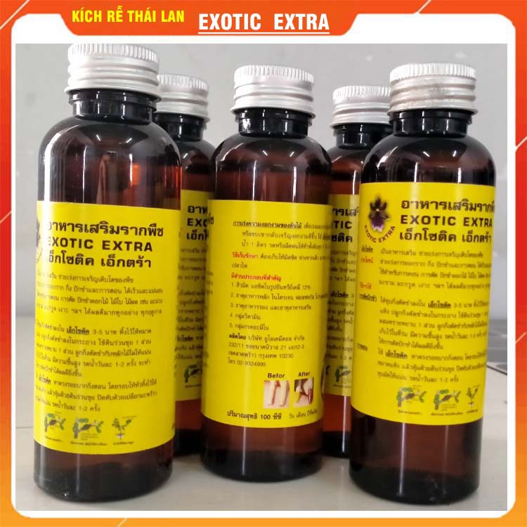 KÍCH RỄ CỰC MẠNH  EXOTIC EXTRA  THÁI LAN