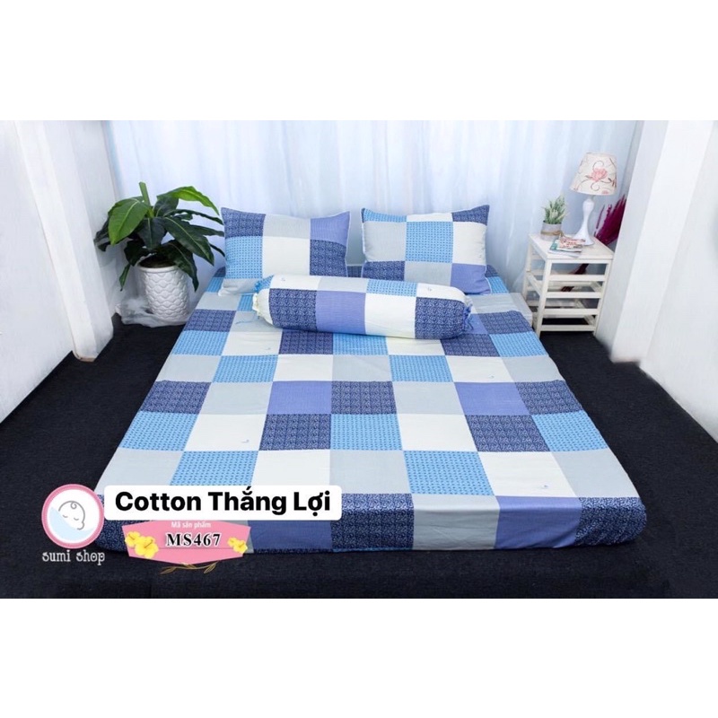 Drap cotton 100% Thắng Lợi, ga giường chính hãng thoáng mát mẫu CARO BIỂN