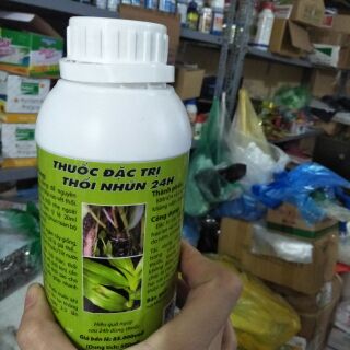 Thuốc đặc trị thối nhũn 24h cho lan