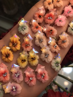 Ly đá _ Hoa bột nail, phụ kiện nail