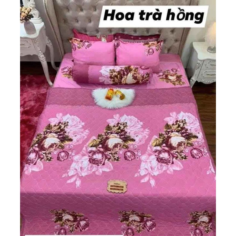 Chăn Hè trần bông