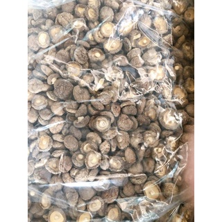 SỈ NẤM ĐÔNG CÔ (TAI TO, TRÒN ĐỀU 3cm - 4cm)