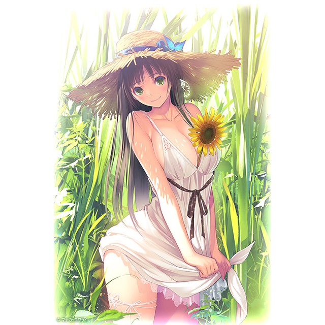 Mô hình Suzufuwa Suzufane Daiki - Mô hình Sexy Girl