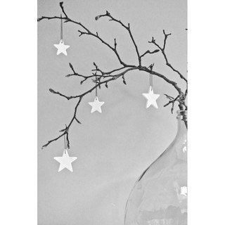Sao gỗ decor siêu rẻ giá chỉ 2k