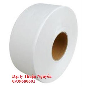 10 CUỘN GIẤY VỆ SINH 700G VỚI 100% BỘT GIẤY TRẮNG MỀM DAI