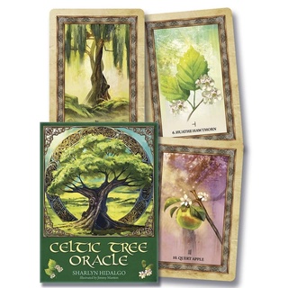 Bộ bài Celtic Tree Oracle C2