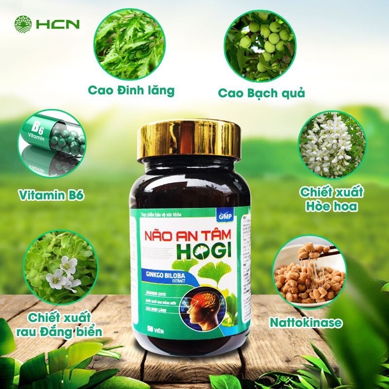 Viên Uống Bổ Não NÃO AN TÂM Tăng Cường Lưu Thông Máu, Giúp Tăng Cường Trí Nhớ, Ngừa Tai Biến