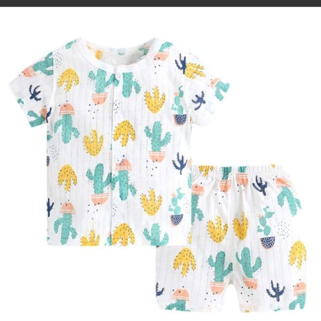 Combo 15b cotton giấy noubaby