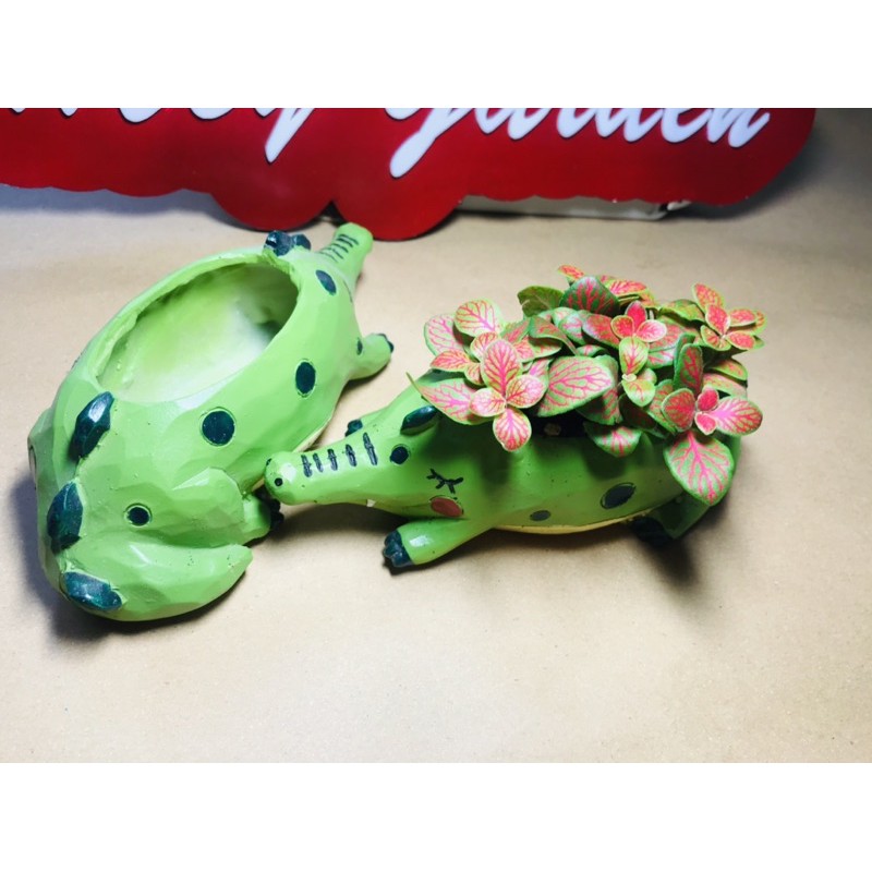 Chậu Mini Hình Cá Sấu