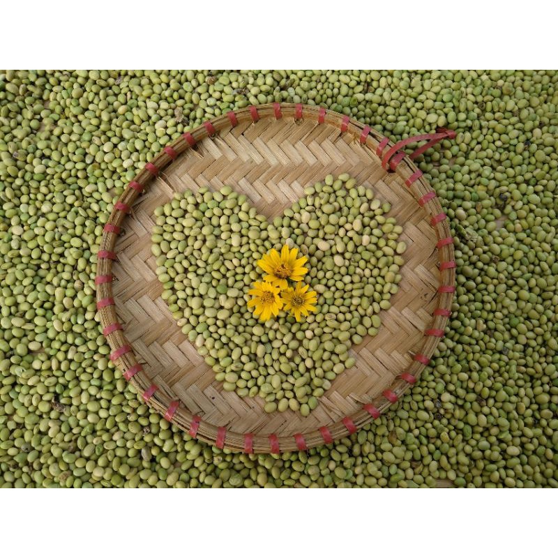 Tương bần Tuệ Viên _ nguyên liệu hữu cơ _ lên men truyền thống trong chum sành