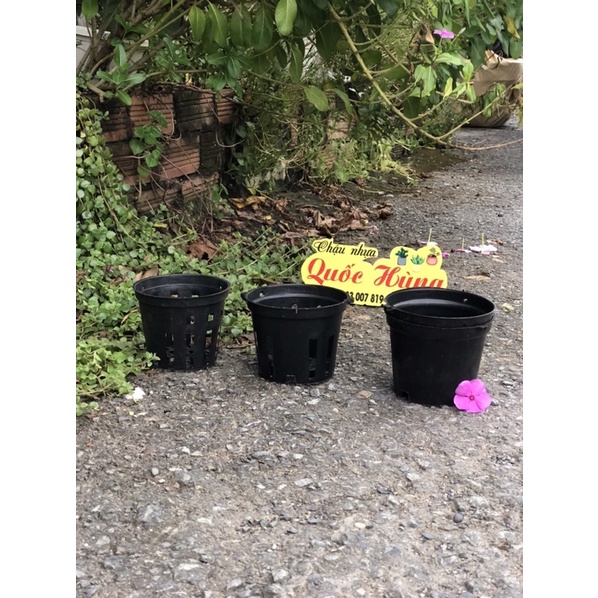 Chậu trồng lan Đen phi 12cm/14cm/16cm/18cm/21cm