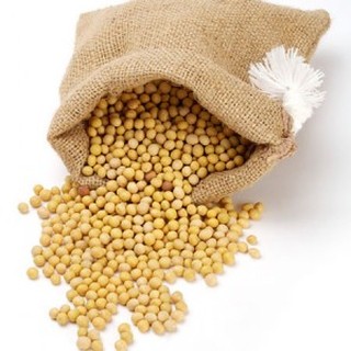 Gói 1kg đậu nành - nông sản sạch từ nông trại tại gia