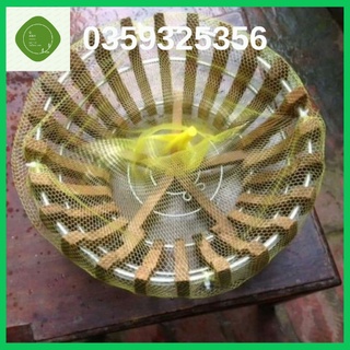Túi lót chậu 100g