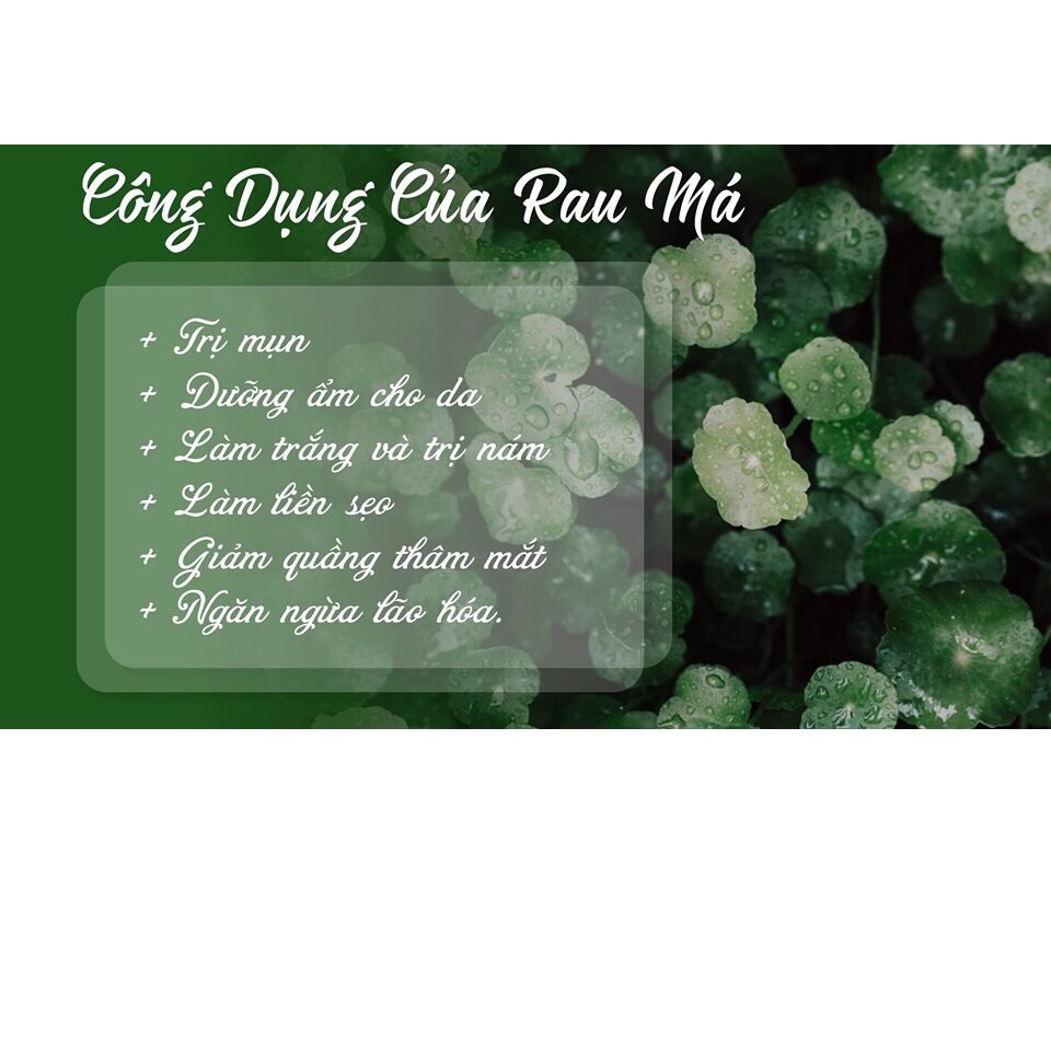 Tinh Chất Rau Má Giảm Mụn, Dịu Da Skin1004 Madagascar Centella Ampoule Chai 100ml | BigBuy360 - bigbuy360.vn