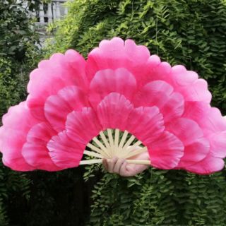 Quạt múa biểu diễn...