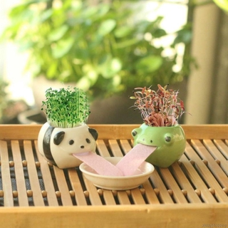 Desk Flower Pot Automatic Watering Flower Pot