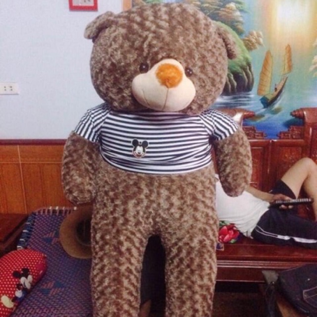 Teddy m7