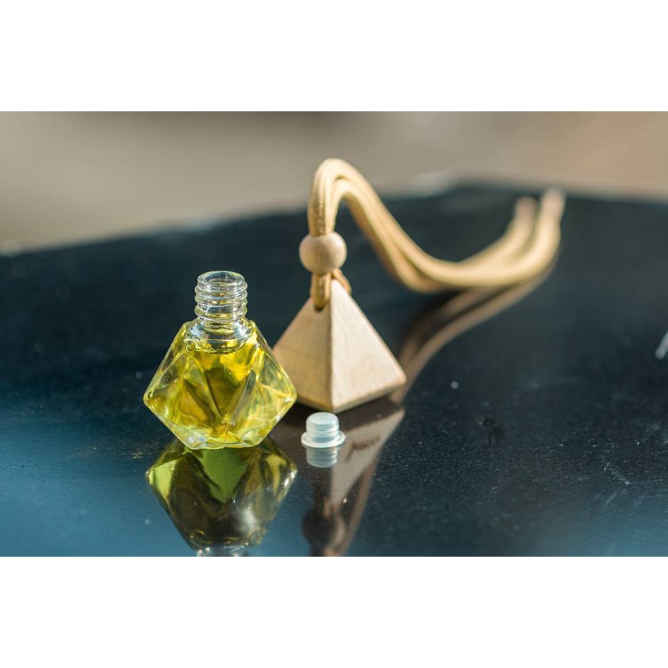 Tinh dầu treo xe , treo tủ đồ hương Dứa thơm | BigBuy360 - bigbuy360.vn