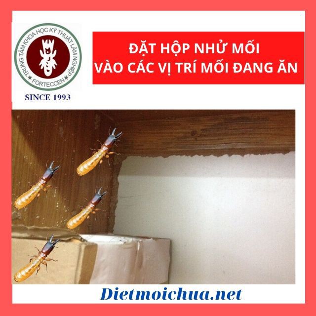  [Chính Hãng] Bộ Thuốc Diệt Mối Tận Gốc Sinh Học: 02 Hộp Nhử Mối + 01 Lọ PMC90 DP