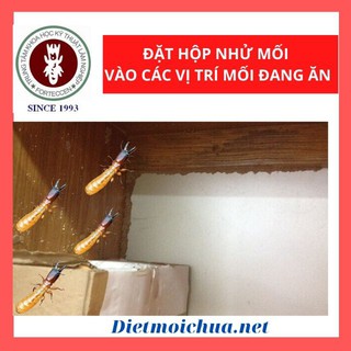 [Chính Hãng] Bộ Thuốc Diệt Mối Tận Gốc Sinh Học: 02 Hộp Nhử Mối + 01 Lọ PMC90 DP