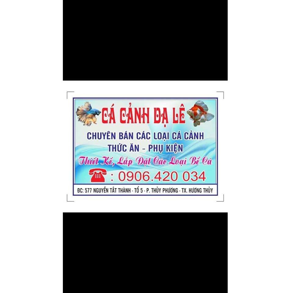 CaCanhDale