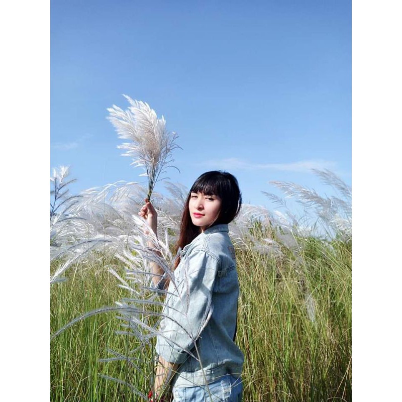 Áo khoác Jean. | BigBuy360 - bigbuy360.vn