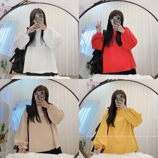 Áo cotton thun dài bo chun ulzzang