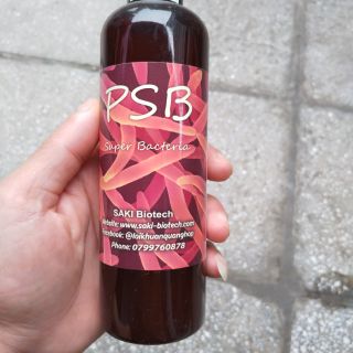 Vì khuẩn quang hợp PSB Saki.