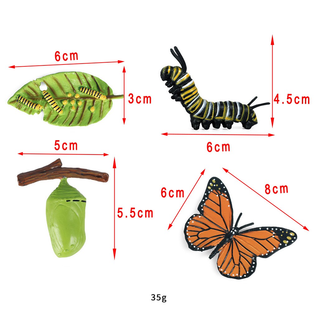 Bướm Đồ Chơi Tự Nhiên Kích Thích Sự Phát Triển Của Bé