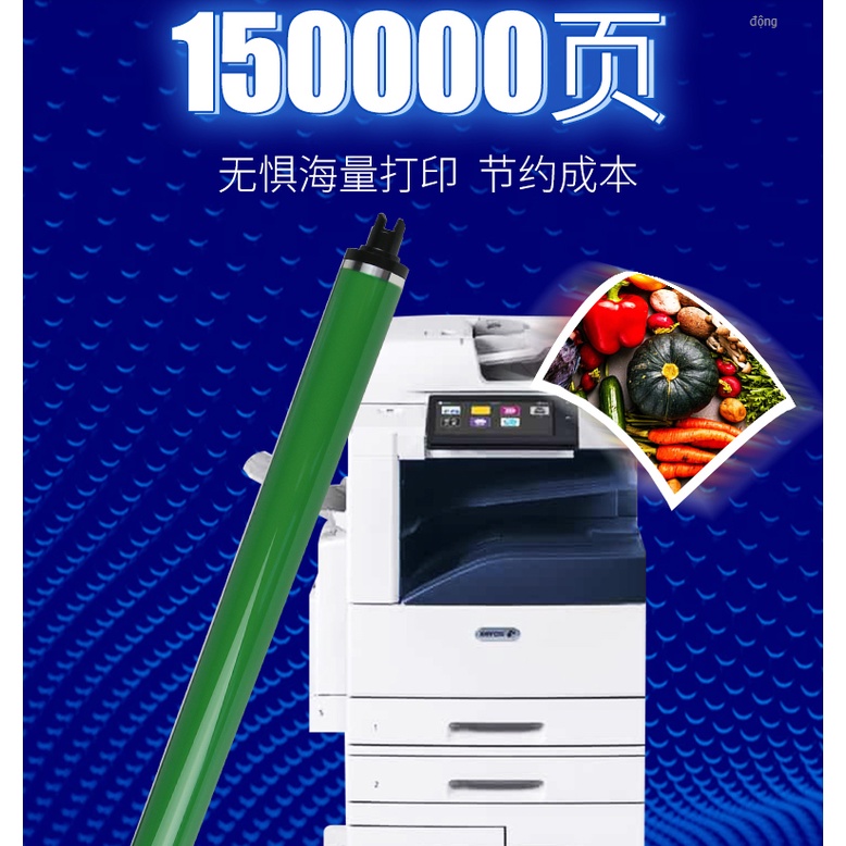 Trống Xerox CET Nhập khẩu 7830 7835 7845 7855 7525 7530 7535 7545 7556 7970 3373 3375 4470 4475 5570 3375 C2270 2277