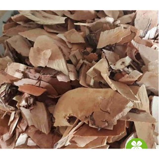 Cây muối (1kg) - OLF188