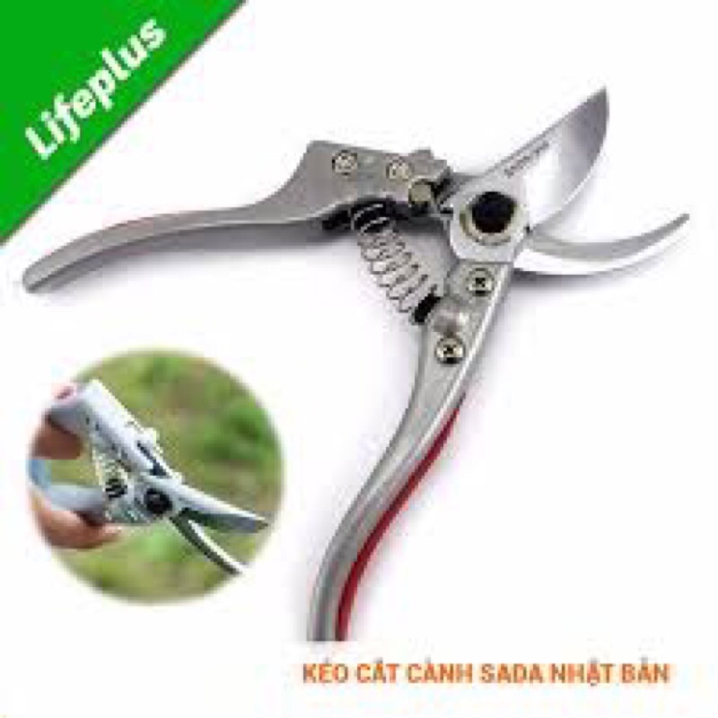 Kéo cắt cành SADA