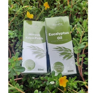 Dầu Khuynh Diệp Eucapro - Eucapro Eucalyptus Oil - 60ML