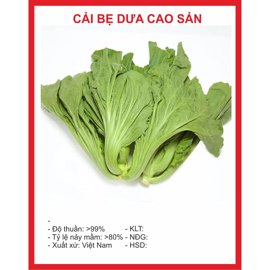 Hạt giống Cải Bẹ Dưa 20gr ~4000 Hạt