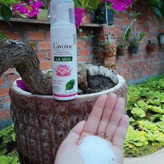 Bọt phụ khoa sinh học Lá Sen Lavoine [CHÍNH HÃNG]
