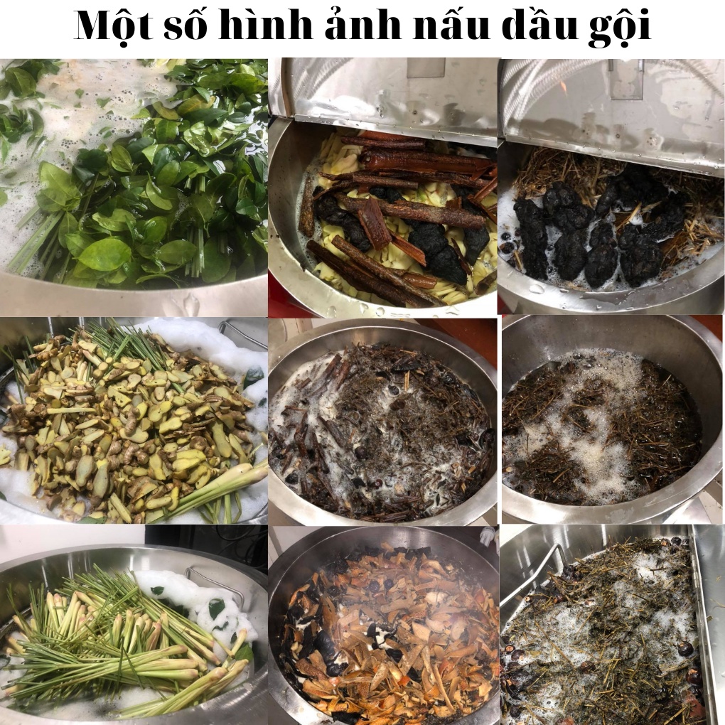 Dầu Gội Handmade / Dầu gội Thảo dược Handmade- 1 LÍT